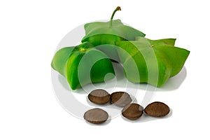 Sacha Inchi, fresh capsule seeds fruit of sacha-Inchi peanut