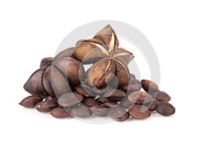 Sacha inchi peanut seed isolate on white background