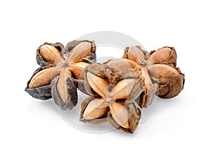 Sacha inchi peanut seed on white background