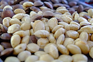 Sacha inchi peanuts or Inca seeds on a tray