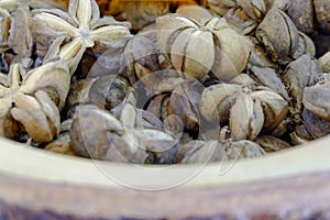 Sacha inchi peanuts or Inca seeds on a tray