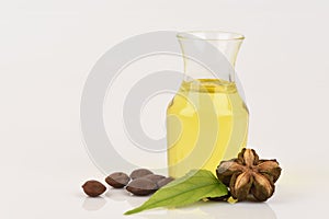 Sacha inchi, Sacha inchi, Sacha mani, Inca peanut oil from seeds and Sacha.
