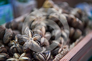 Sacha inchi seeds in market