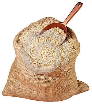 SACK OF BROWN RICE CUT OUT