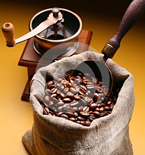 Sack of coffee beans and scoop.