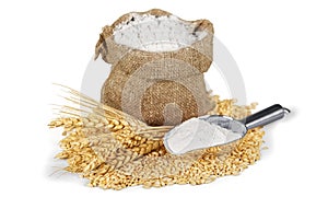 Sack of flour with wheat and scoop isolated on