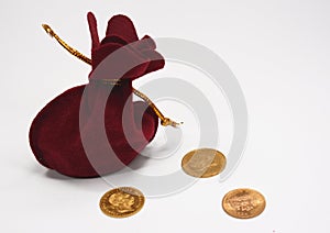 Sack and gold coins
