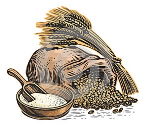 Sack of grain, ears of wheat, bowl of flour and scoop. Cooking and baking flour, food ingredients. Vector illustration