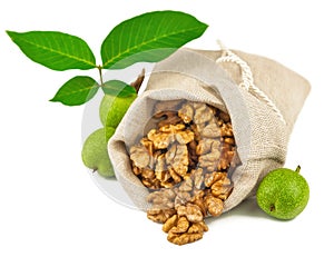 Sack of purified walnut and green walnut fruit photo