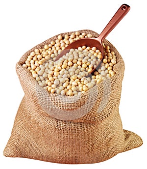 SACK OF SOYA BEANS CUT OUT