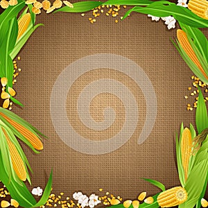 Sackcloth background with the corn foodstuff at the edges