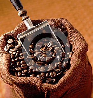 Sacking bag with coffee beans