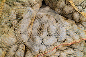 Sacks with fresh new potatoes