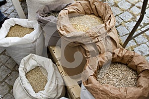 Sacks full with chickpeas, beans, buckwheat, millet, wheat, spelled, lentils, Einkorn wheat grains. Variety of beans, grains and s