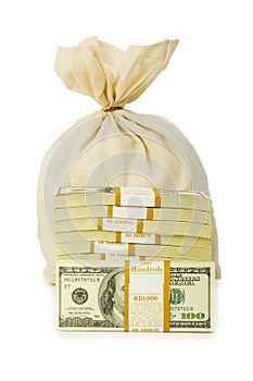 Sacks of money isolated