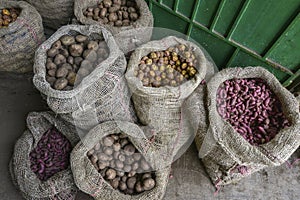 Sacks with potatoes in Silvia market, Popayan, Colombia. photo