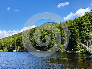 Saco lake summer view in Crawford Notch