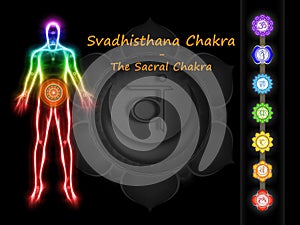 The Sacral Chakra