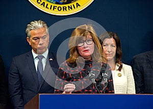 Kris Brown, the president of The Brady Campaign, speaking at a Gun Safety Press Conf