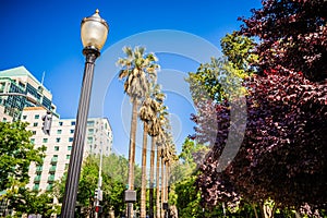 Sacramento california city skyline and street views photo