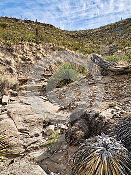 Sacramento Mountains along Indian Wells Trail in Alamogordo, New Mexico photo