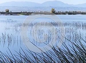 Sacramento National Wildlife Refuge