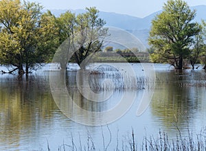 Sacramento National Wildlife Refuge scenery