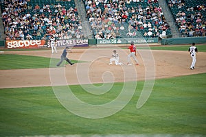 Sacramento River Cats