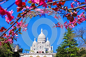 Sacre Coeur Cathedral during spring time in Paris, France