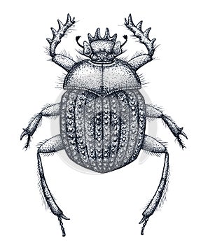 Sacred beetle of scarabs tattoo art. Dot work tattoo. Insect. Symbol of eternal life, resurrection, revival