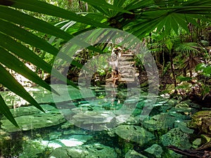 Sacred cenote azul in Tulum, Yucatan Peninsula, Mexico photo