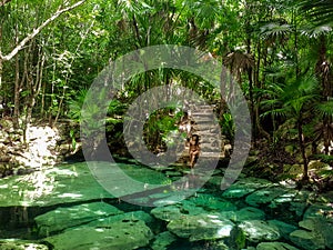 Sacred cenote azul in Tulum, Yucatan Peninsula, Mexico photo