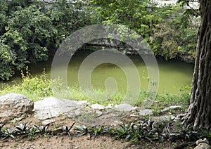 Sacred Cenote, Chichen Itza