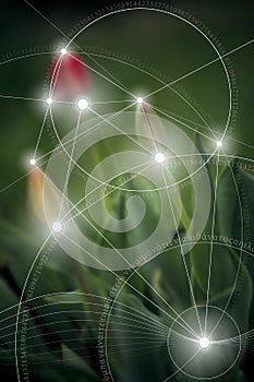 Sacred geometry art with golden ratio numbers, interlocking circles, triangles and squares, flows of energy and