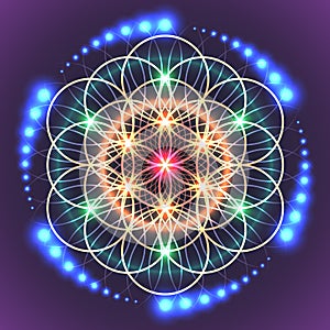 Sacred Geometry Flower of Life