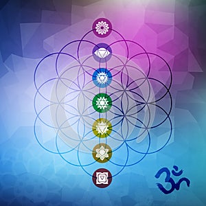 Sacred geometry flower of life with chakra icons