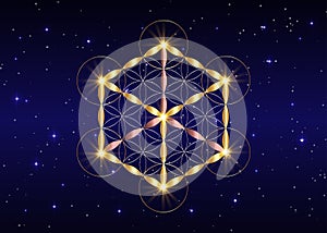 Sacred Geometry, flower of life and Metatrons cube. Gold Symbol of alchemy, religion and spirituality. Vector isolated on blue