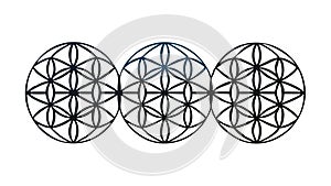 Sacred Geometry Flower of Life Pattern, vector design Generative AI