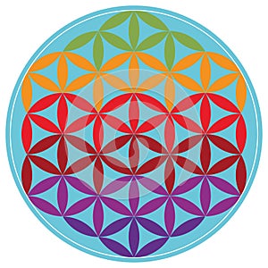 Sacred Geometry Flower of Life vector illustration