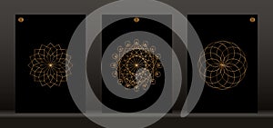Sacred geometry, set graphic element Vector isolated on black background. Gold Symbols of alchemy esoteric, Flower of Life.