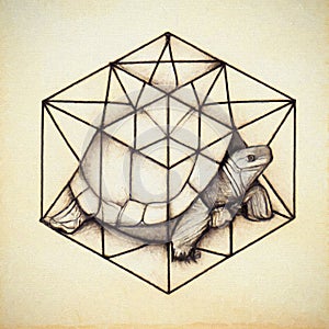 Sacred geometry tortoise ink on old paper  hypercube