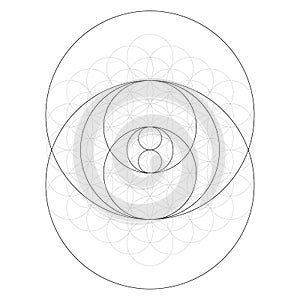 Sacred Geometry Torus Yantra or Hypnotic Eye vector illustration