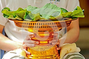 Sacred golden tray with fresh lotus leaves for Thai monk ordination process