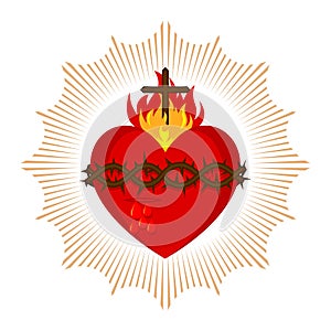 Sacred Heart of Jesus Christ, Lord and Savior of the world. Cross in the flame of the Holy Spirit, crown of thorns and holy blood