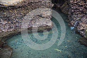 Sacred holy water well in Tanah Lot cave under Tanah Lot temple in Bali, Indonesia.