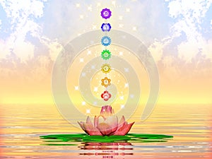 Sacred Lotus And Chakras