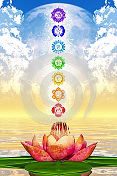 Sacred Lotus And Chakras