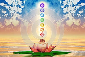 Sacred Lotus And Chakras