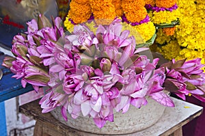 Sacred lotus flowers in asia market near temple, India