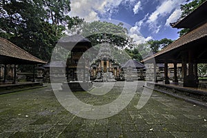 Sacred monkey forest temple in Ubud - Bali - Indonesia